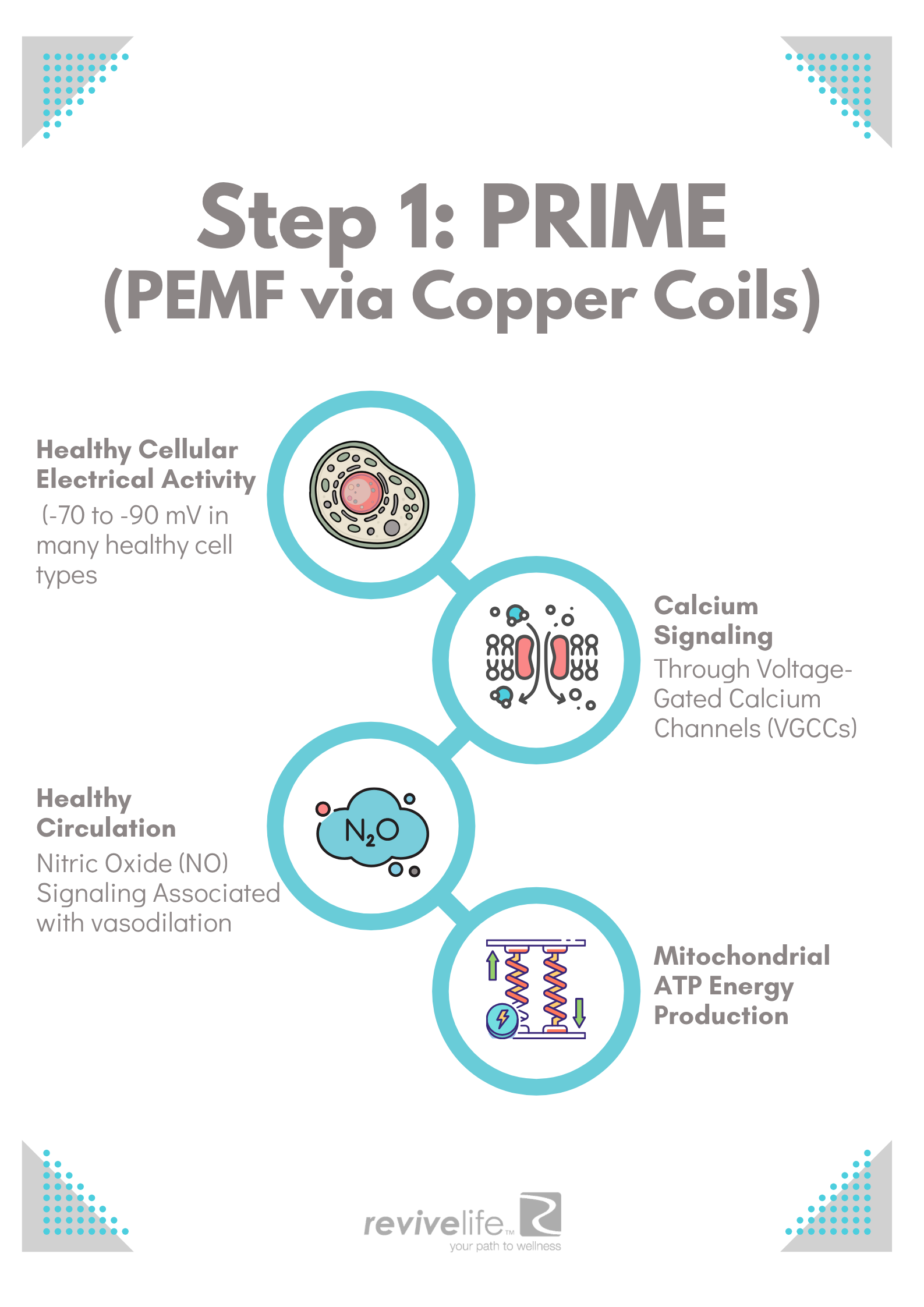 Step 1 PRIME (PEMF via Copper Coils)