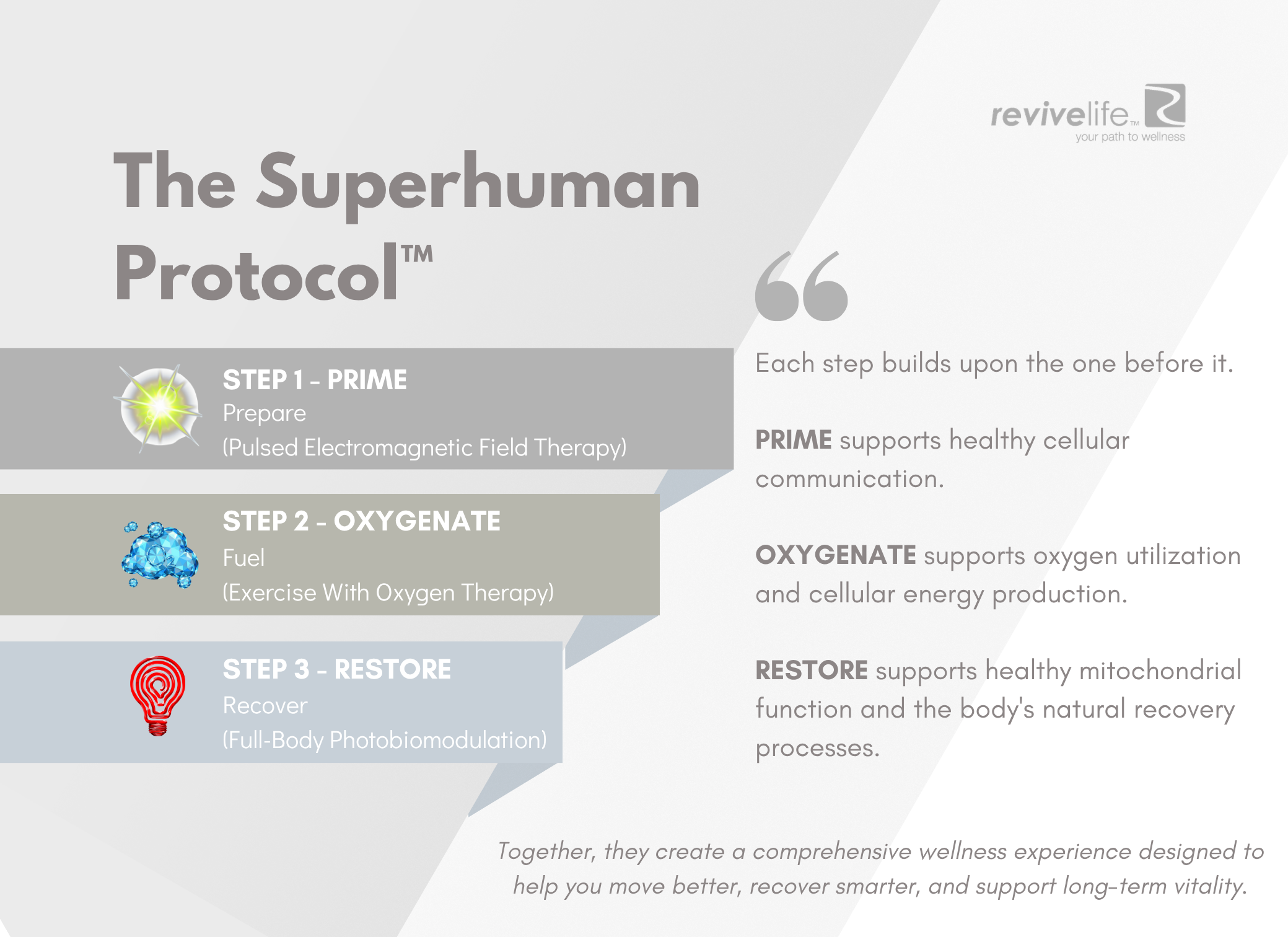 The Superhuman Protocol™