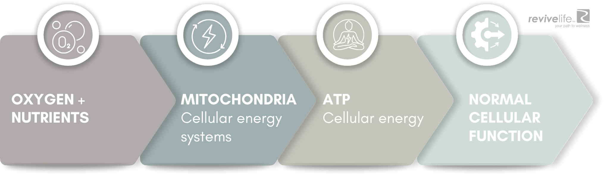CELLULAR ENERGY
