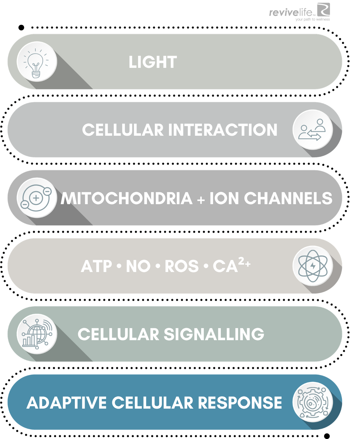 FROM LIGHT TO SIGNAL