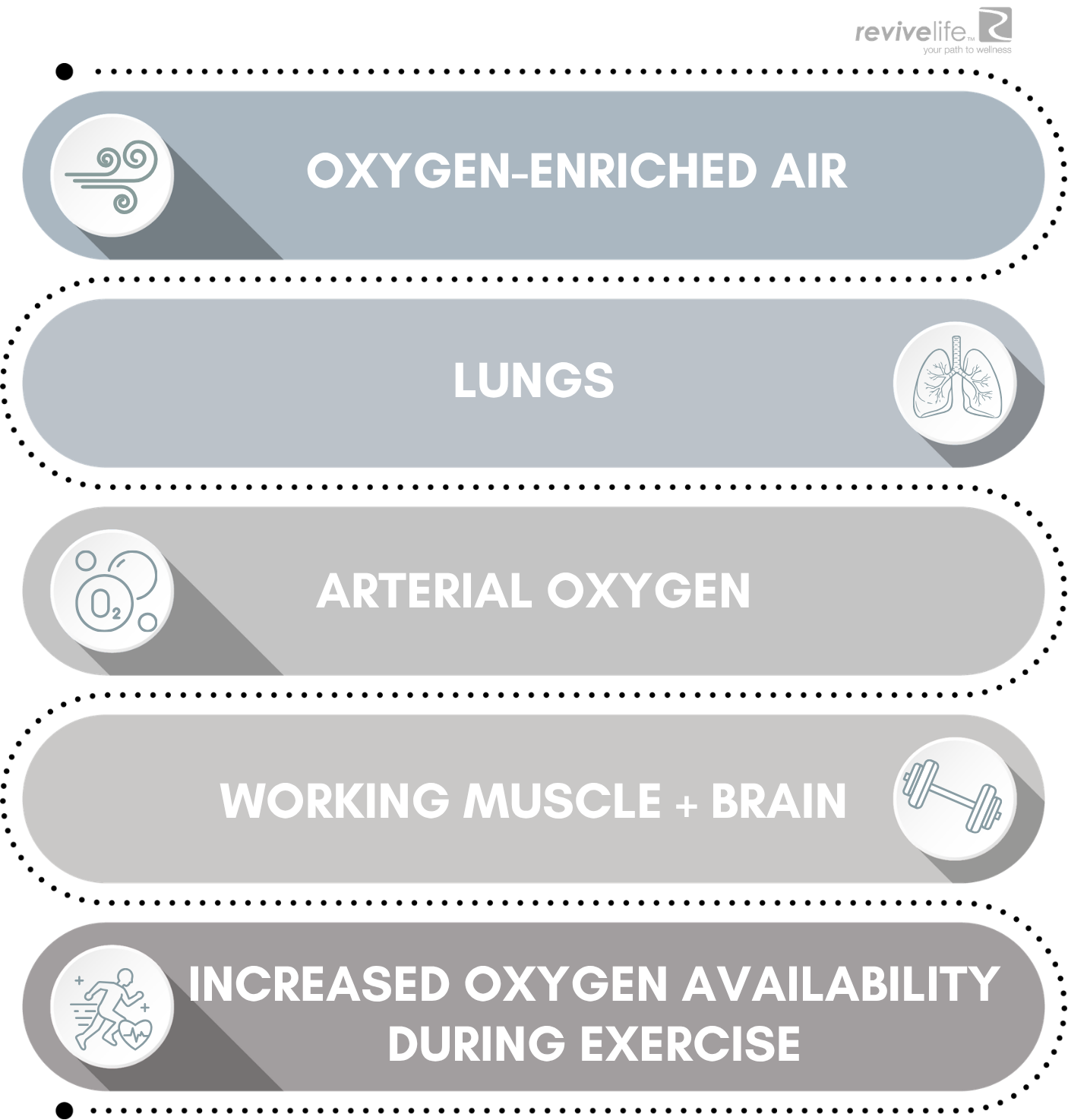From the Lungs to Working Tissue.